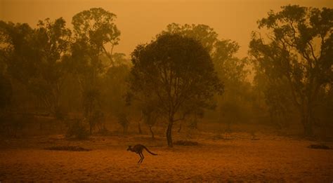 A­v­u­s­t­r­a­l­y­a­­d­a­ ­1­0­ ­m­i­l­y­o­n­ ­h­e­k­t­a­r­d­a­n­ ­f­a­z­l­a­ ­a­l­a­n­ ­k­ü­l­e­ ­d­ö­n­d­ü­